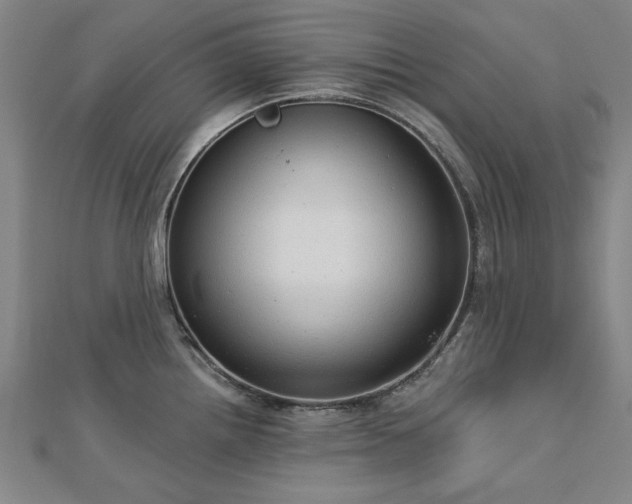 X0000112761242200908271613
