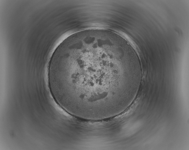 X0000112761243200908271613