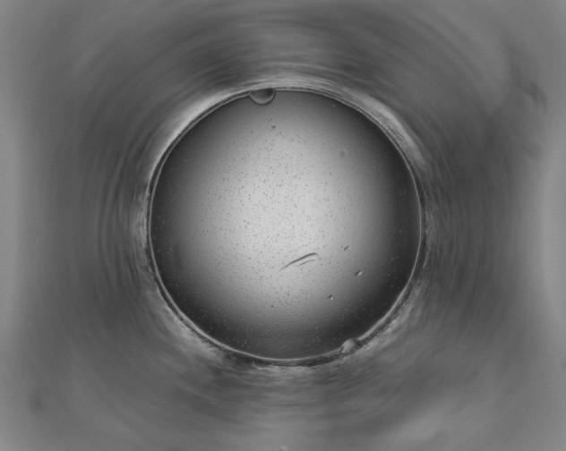 X0000112761244200908271613