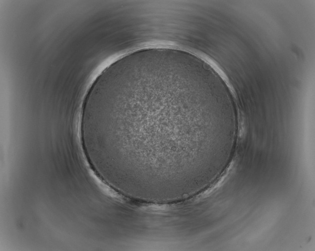 X0000112761245200908271613