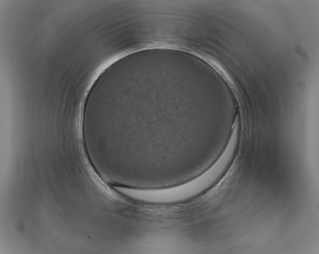 X0000112761246200908271613
