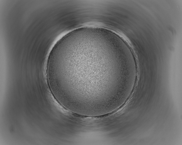 X0000112761248200908271613
