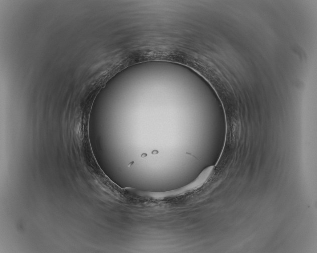 X0000112761250200908271612