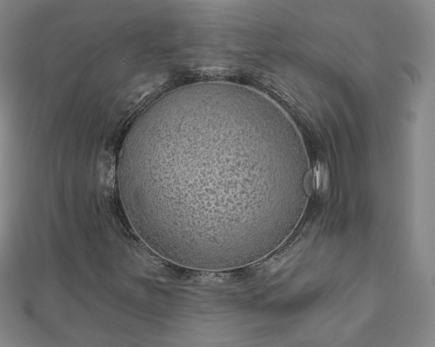 X0000112761251200908271612