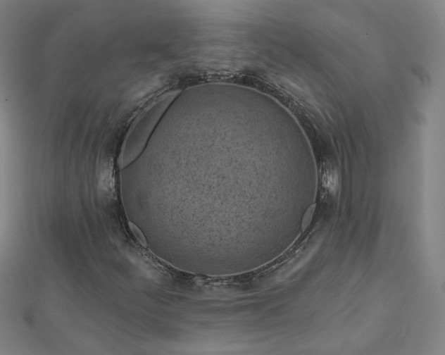 X0000112761252200908271612