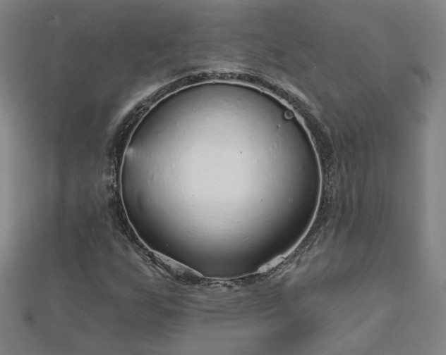 X0000112761255200908271612