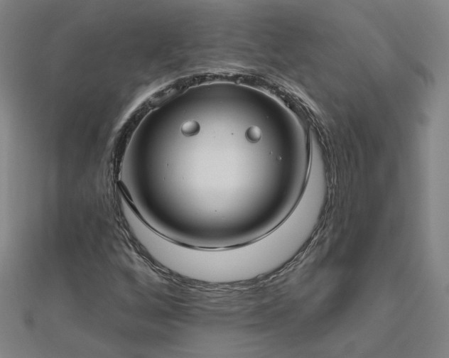 X0000112761256200908271612