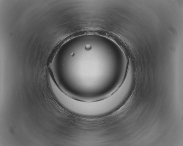 X0000112761257200908271612