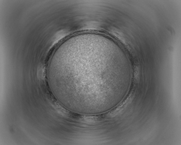 X0000112761258200908271612