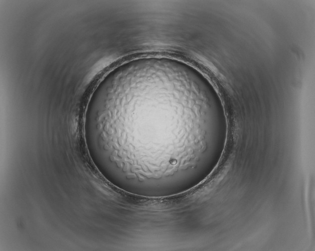 X0000112761259200908271612
