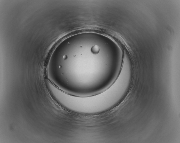 X0000112761260200908271612