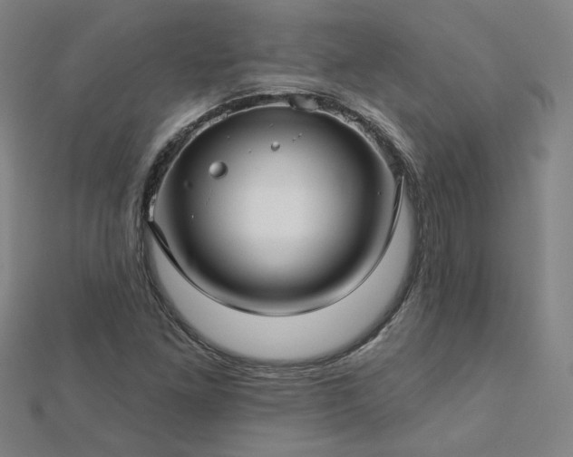 X0000112761261200908271612