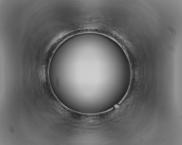X0000112761262200908271612