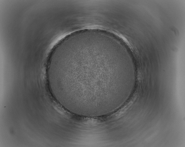 X0000112761263200908271612