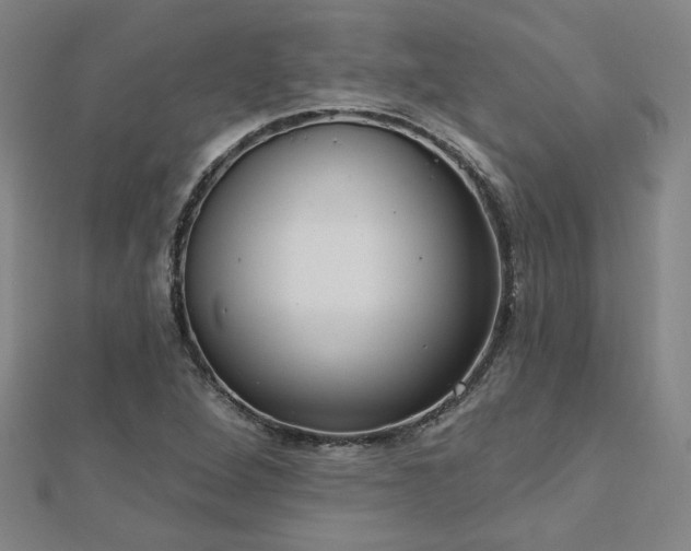X0000112761264200908271612
