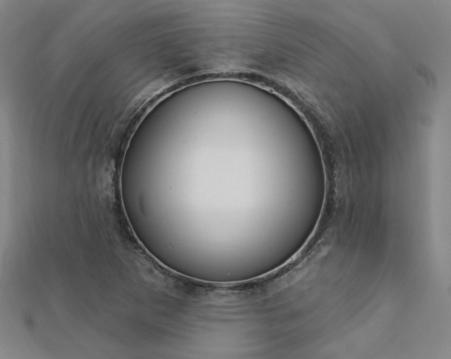 X0000112761265200908271612