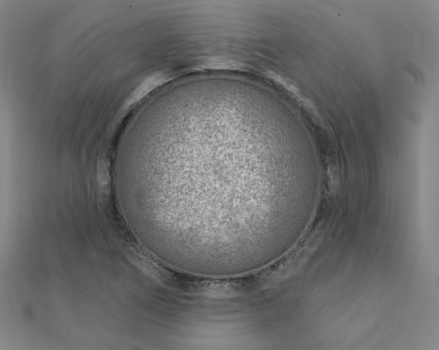 X0000112761266200908271612