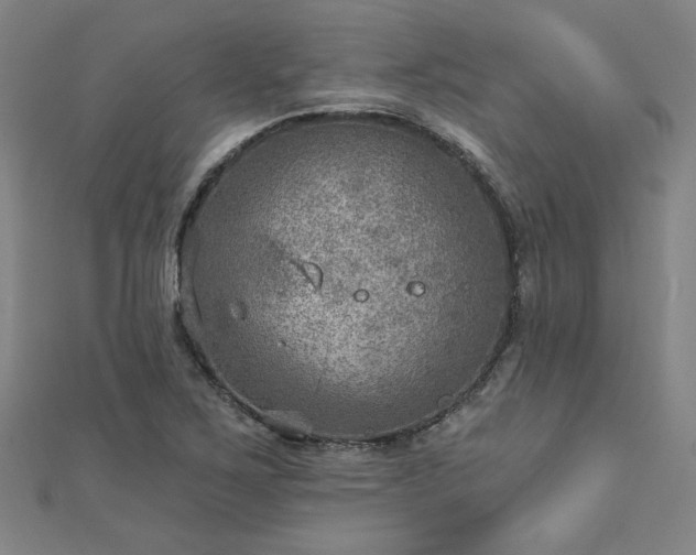 X0000112761267200908271612