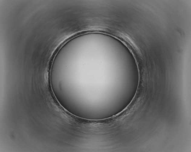 X0000112761268200908271612