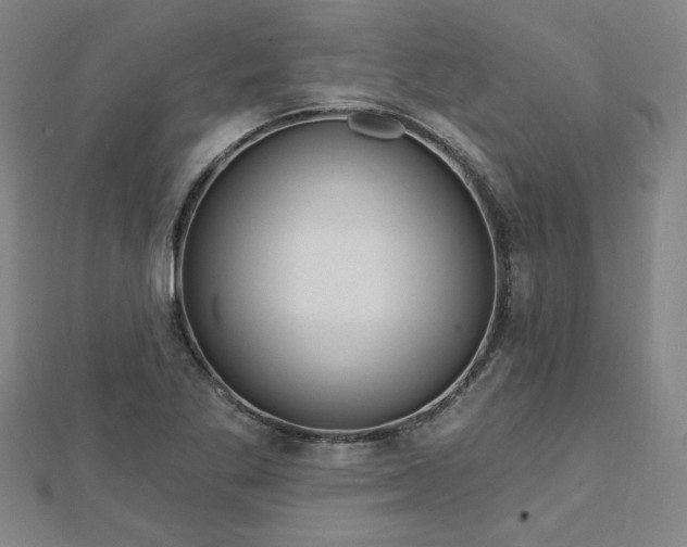 X0000112761269200908271612