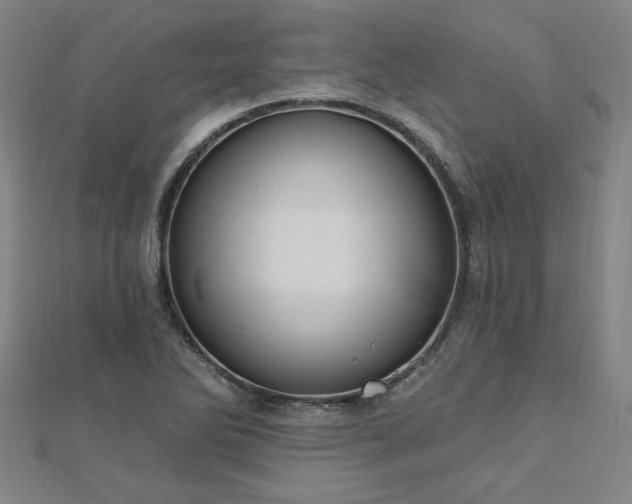 X0000112761270200908271612