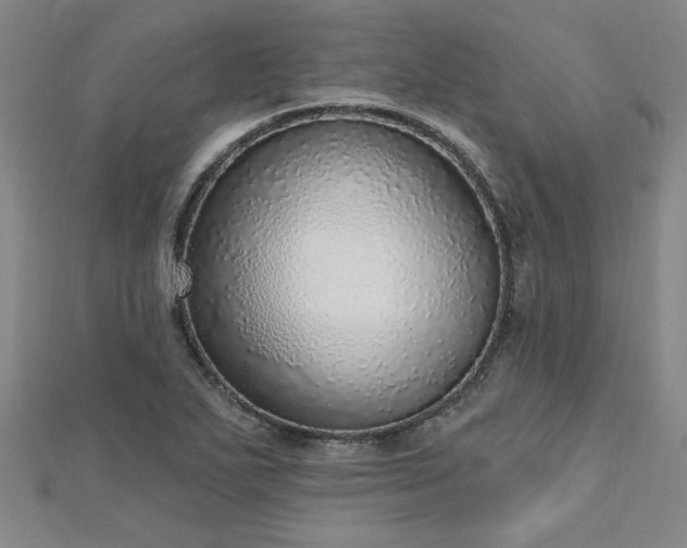 X0000112761271200908271611