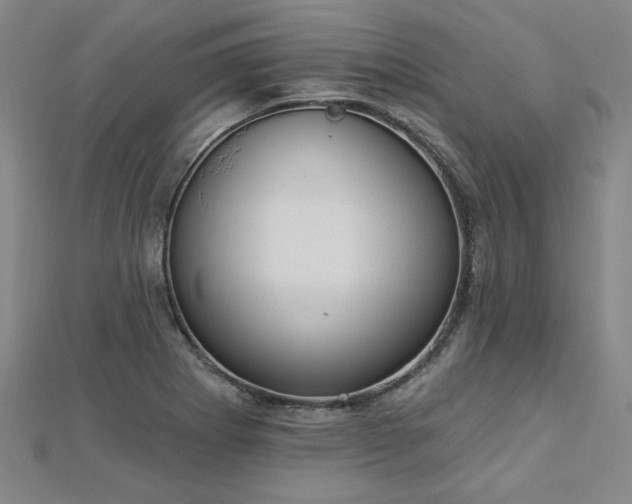 X0000112761273200908271611