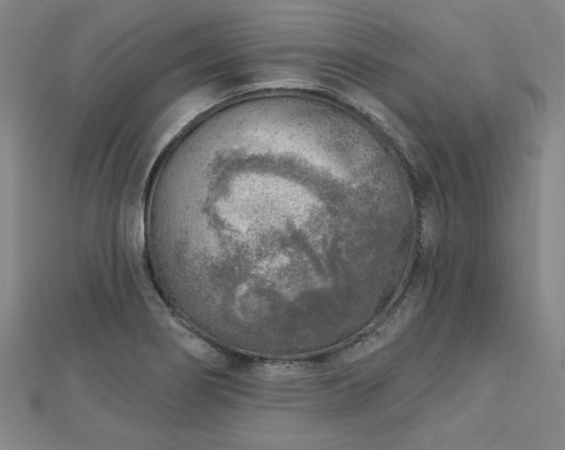 X0000112761274200908271611
