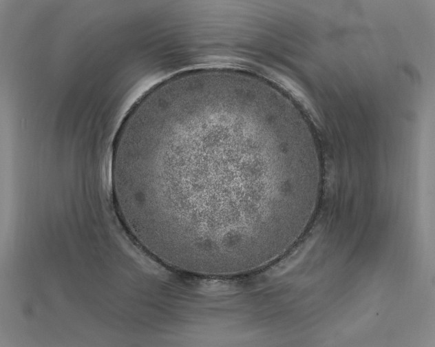 X0000112761275200908271611