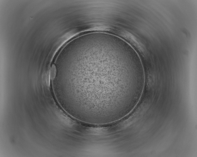 X0000112761276200908271611