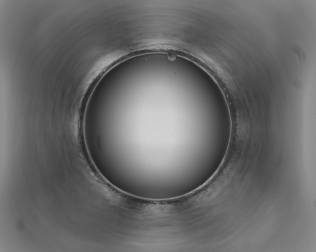 X0000112761277200908271611