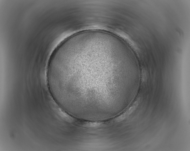 X0000112761278200908271611