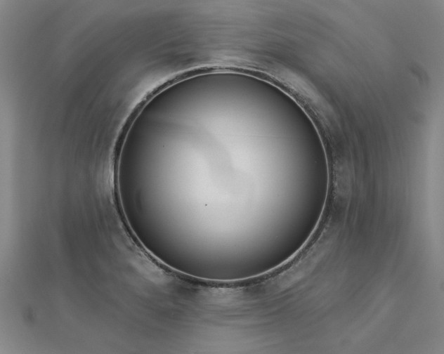 X0000112761280200908271611