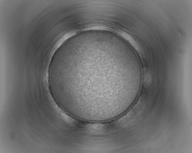 X0000112761282200908271611