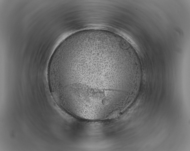 X0000112761283200908271611