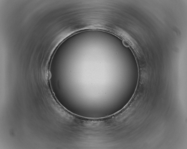 X0000112761284200908271611