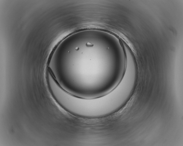 X0000112761285200908271611