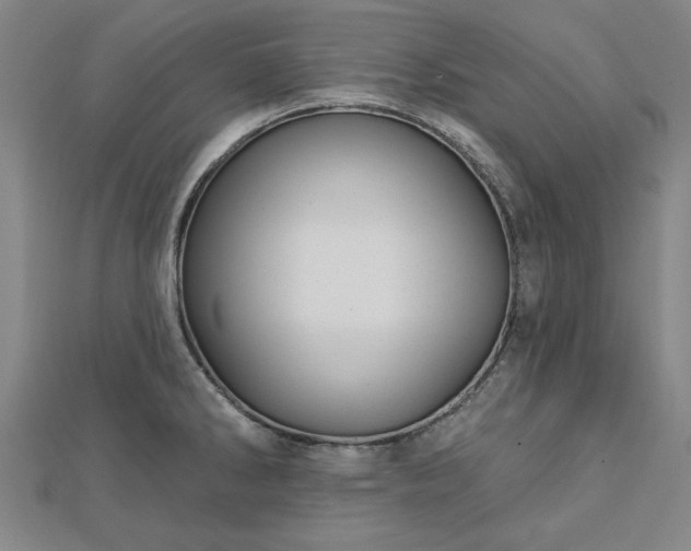 X0000112761286200908271611