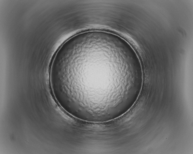 X0000112761287200908271611