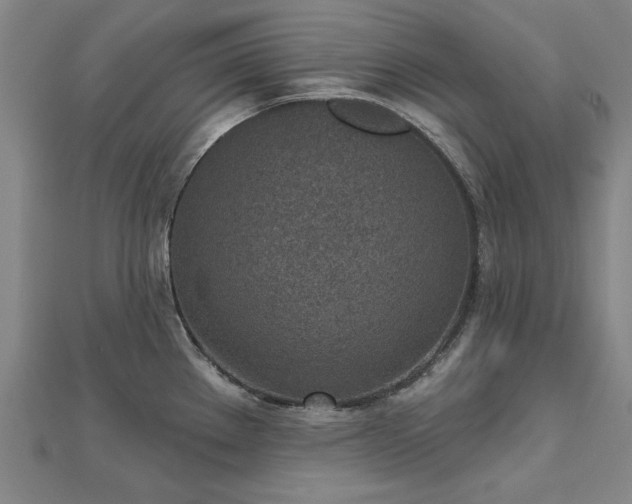 X0000112761289200908271611