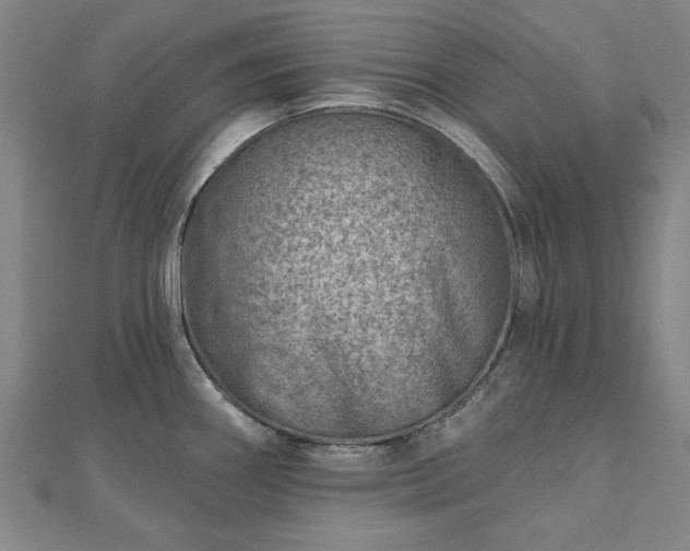 X0000112761290200908271611
