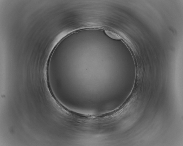 X0000112761291200908271611