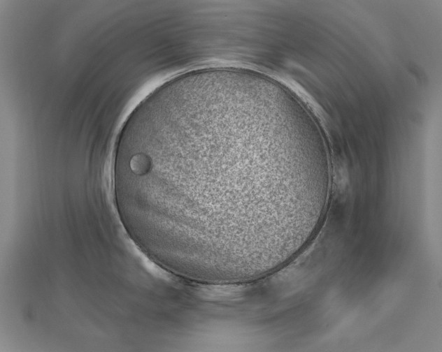 X0000112761294200908271611