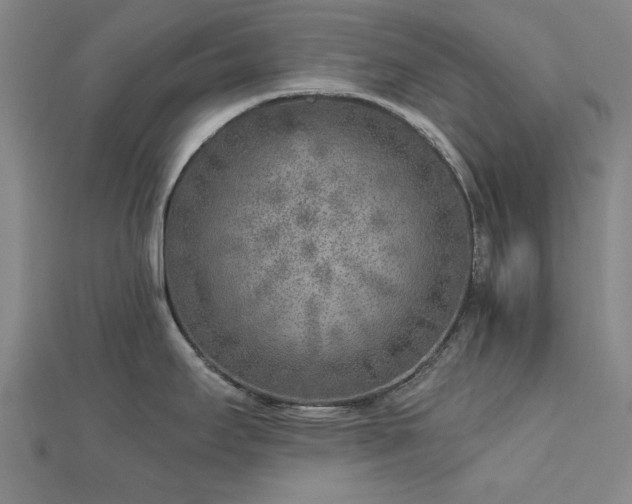 X0000112761295200908271611