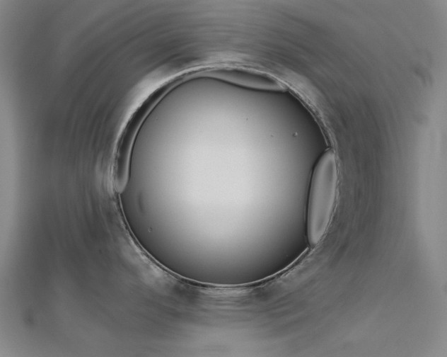 X0000112761296200908271611