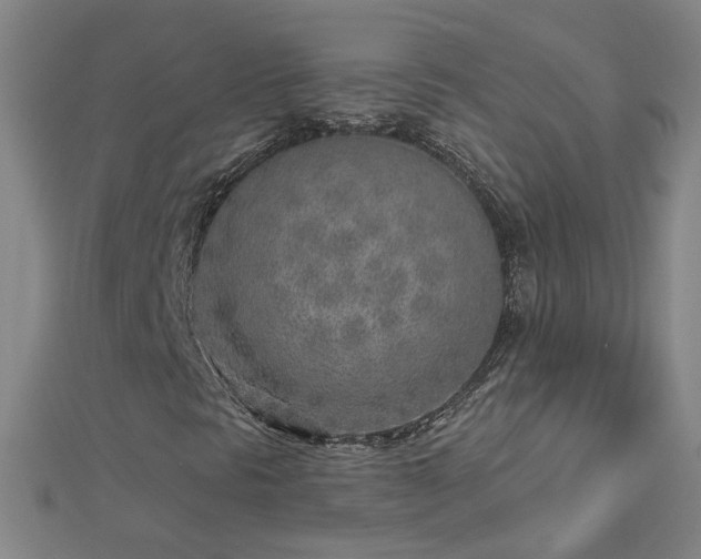 X0000112761297200908271610