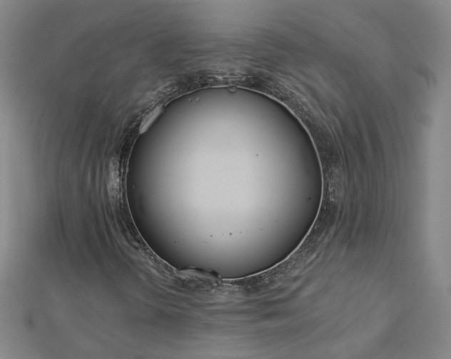 X0000112761298200908271610