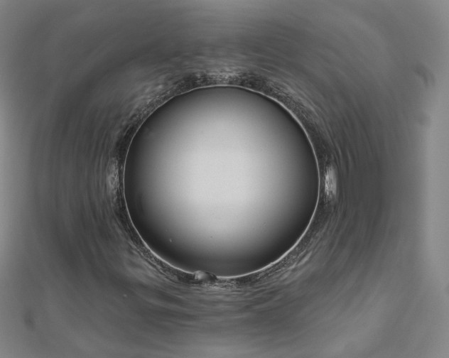 X0000112761299200908271610