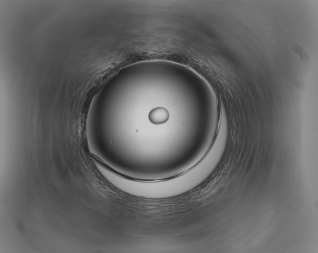 X0000112761300200908271610