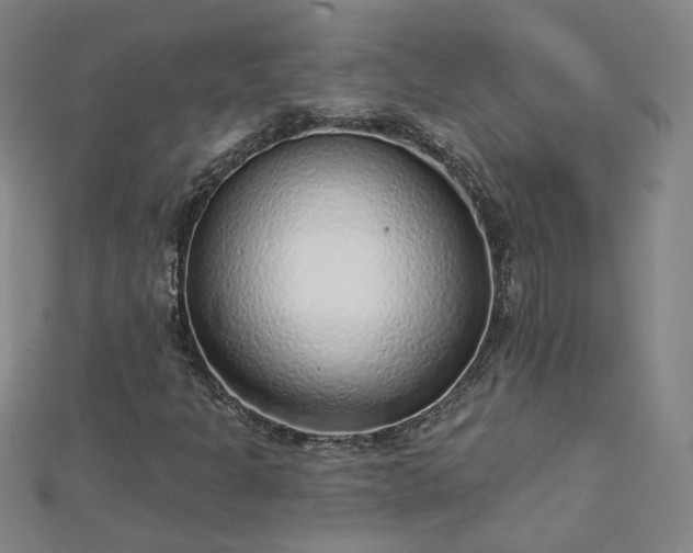 X0000112761301200908271610